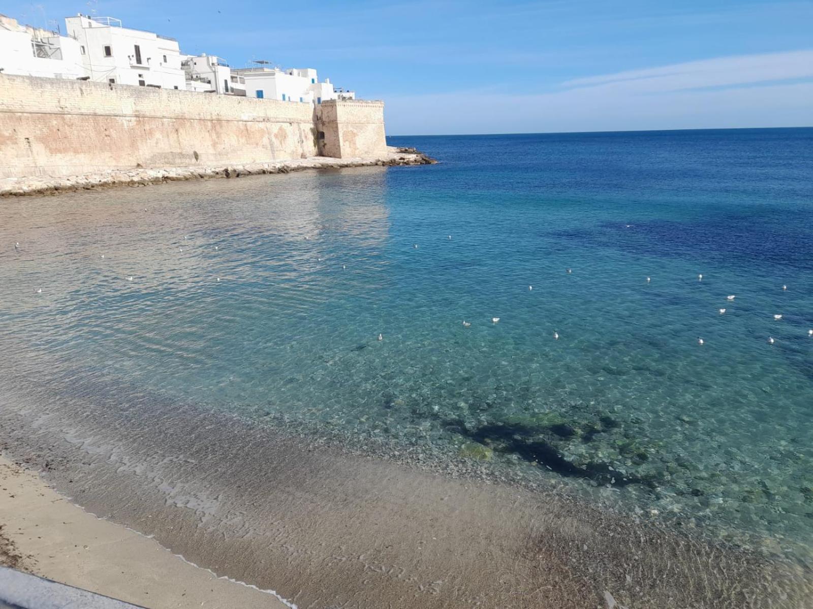 Suite Santa Caterina Monopoli Bagian luar foto
